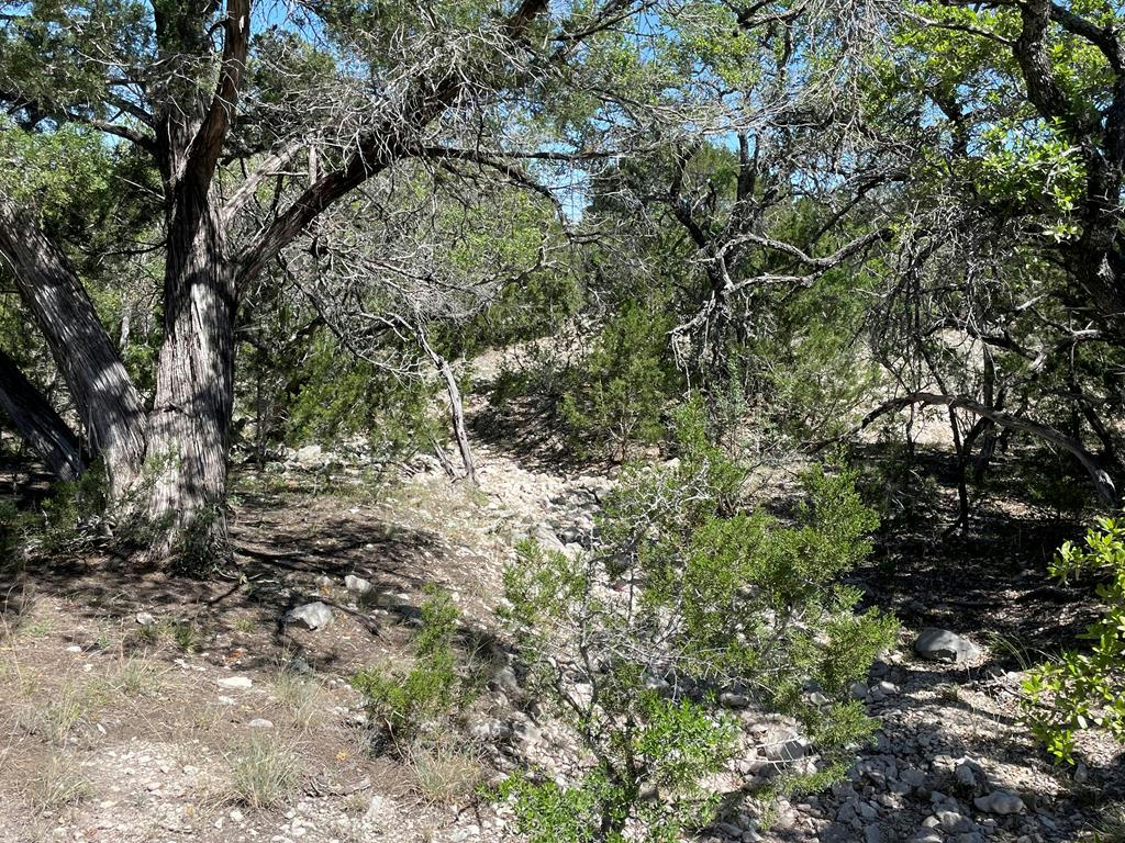000 OTHER, ROCKSPRINGS, TX 78880, photo 1 of 34
