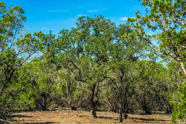 LOT 7 GILLESPIE RIDGE DR, HARPER, TX 78058, photo 4 of 13