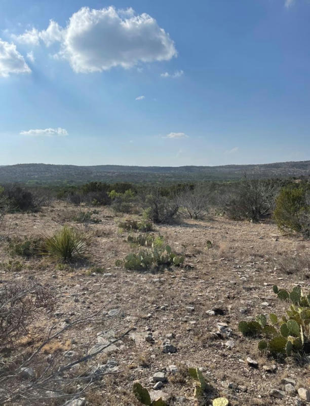 280 EASTWOOD RD, SONORA, TX 78840, photo 1 of 28