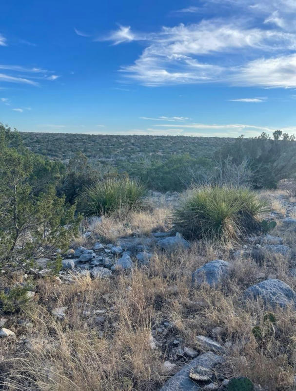 54 N HIGH LONESOME RD, SONORA, TX 78840, photo 1 of 5