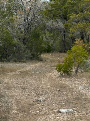 N/A EAST FORK RD, DEL RIO, TX 78840, photo 3 of 33