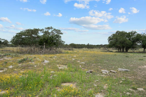 3883 HIGHWAY 41, MOUNTAIN HOME, TX 78058, photo 4 of 57